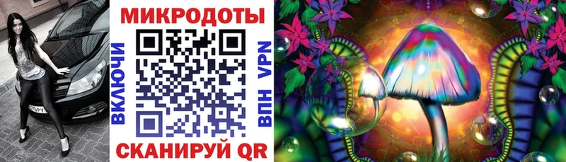 Галлюциногенные грибы Psilocybe  как найти наркотики  Куйбышев 